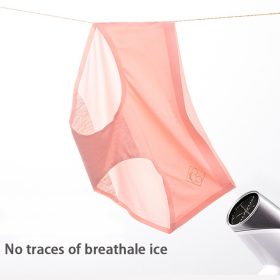 Japanese Quick-Drying Panties Women's One-Piece Ultra Thin Ice Silk Ladies Briefs SZ084 - 3 PCS With Box - Image 6