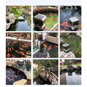 10L Fish Feeder Smart Koi Timing Ornamental Large Capacity - EV810B Battery Type - Image 8