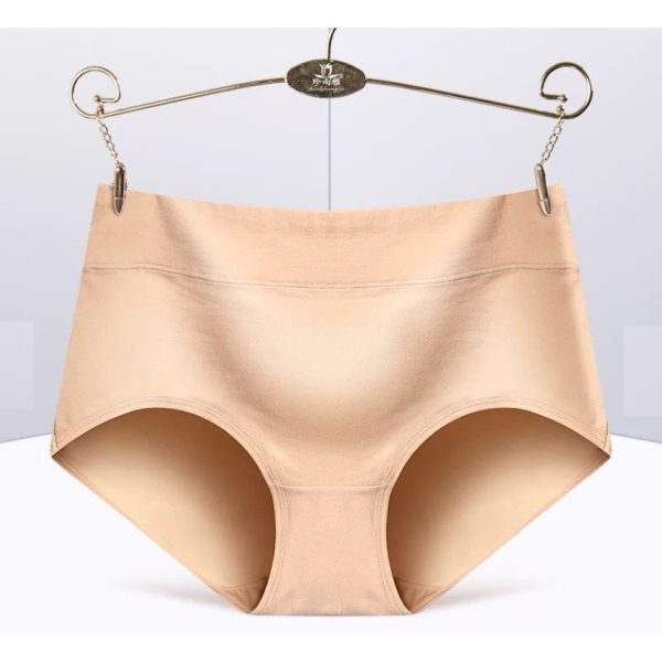 Women's Panties Cotton Underwear Spendex Waist - Skin