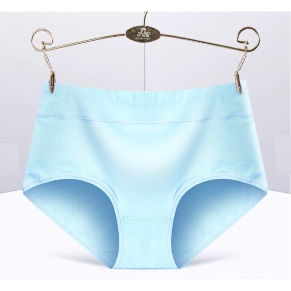 Women's Panties Cotton Underwear Spendex Waist - Blue