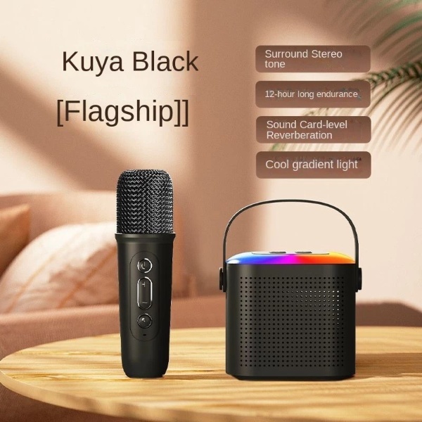 Wireless Karaoke Mini Portable Speaker Bluetooth with Mic Home Party Outdoor Camping Entertainment Karaoke - Black