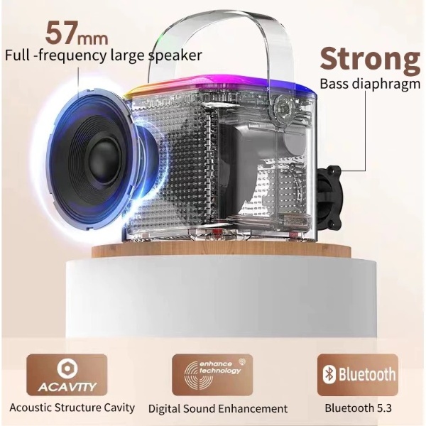 Wireless Karaoke Mini Portable Speaker Bluetooth with Mic Home Party Outdoor Camping Entertainment Karaoke - Black