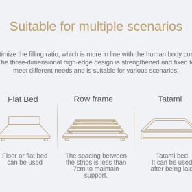 Thicker Topper Mattress Spring Four Seasons Foldable - Dark Blue - Image 11