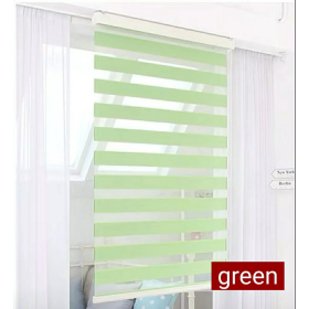 Modern Zebra Blinds Outdoor Roller Blind - Green