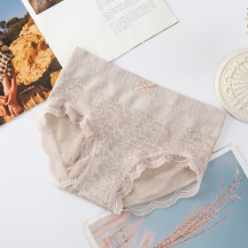 Plus Size Women's Mid-Waist Seamless Lace Underwear - Tummy Control & Butt Lift - Nude