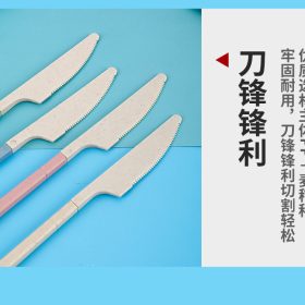 Portable Wheat Cutlery Set Travel Spoon Fork Chopstick Box / Spoon Set / Door gift / Wedding gift - Pink - Image 5